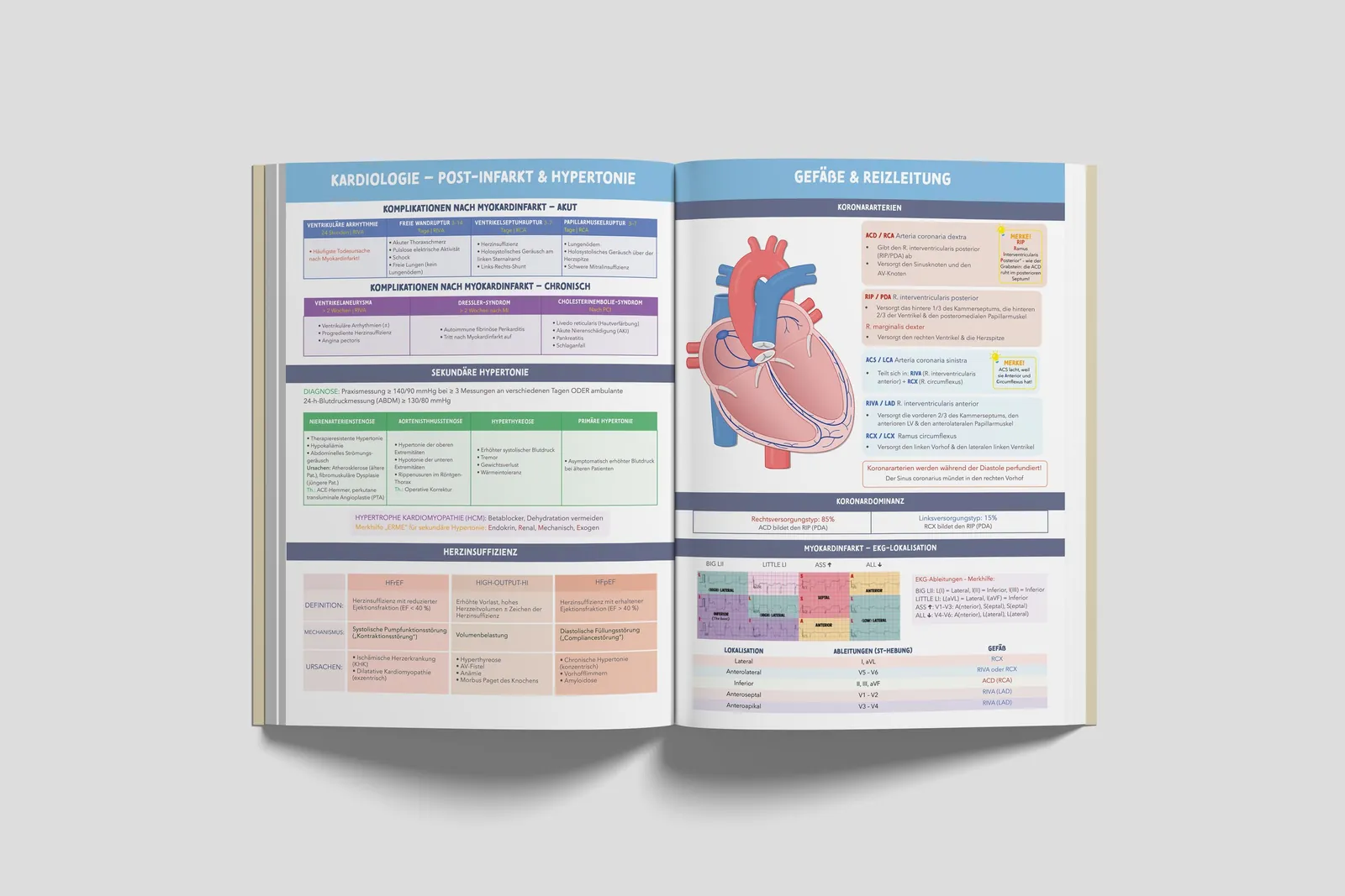 Medibook, German medical study book, mockup